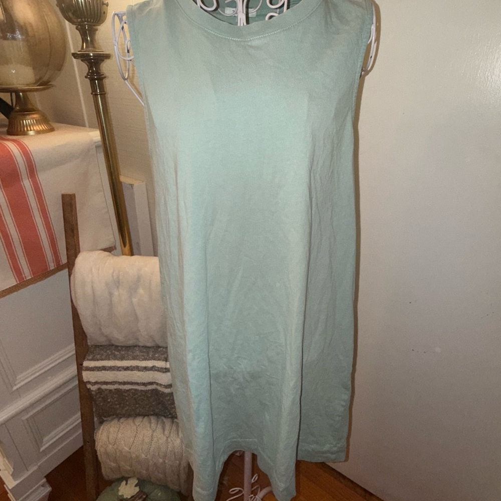 Z Supply Light Mint Green Sleeveless Shift Dress